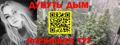 индика Малгобек