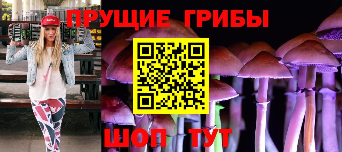 Вичуга  Псилоцибиновые грибы прущие грибы  Вход с VPN 